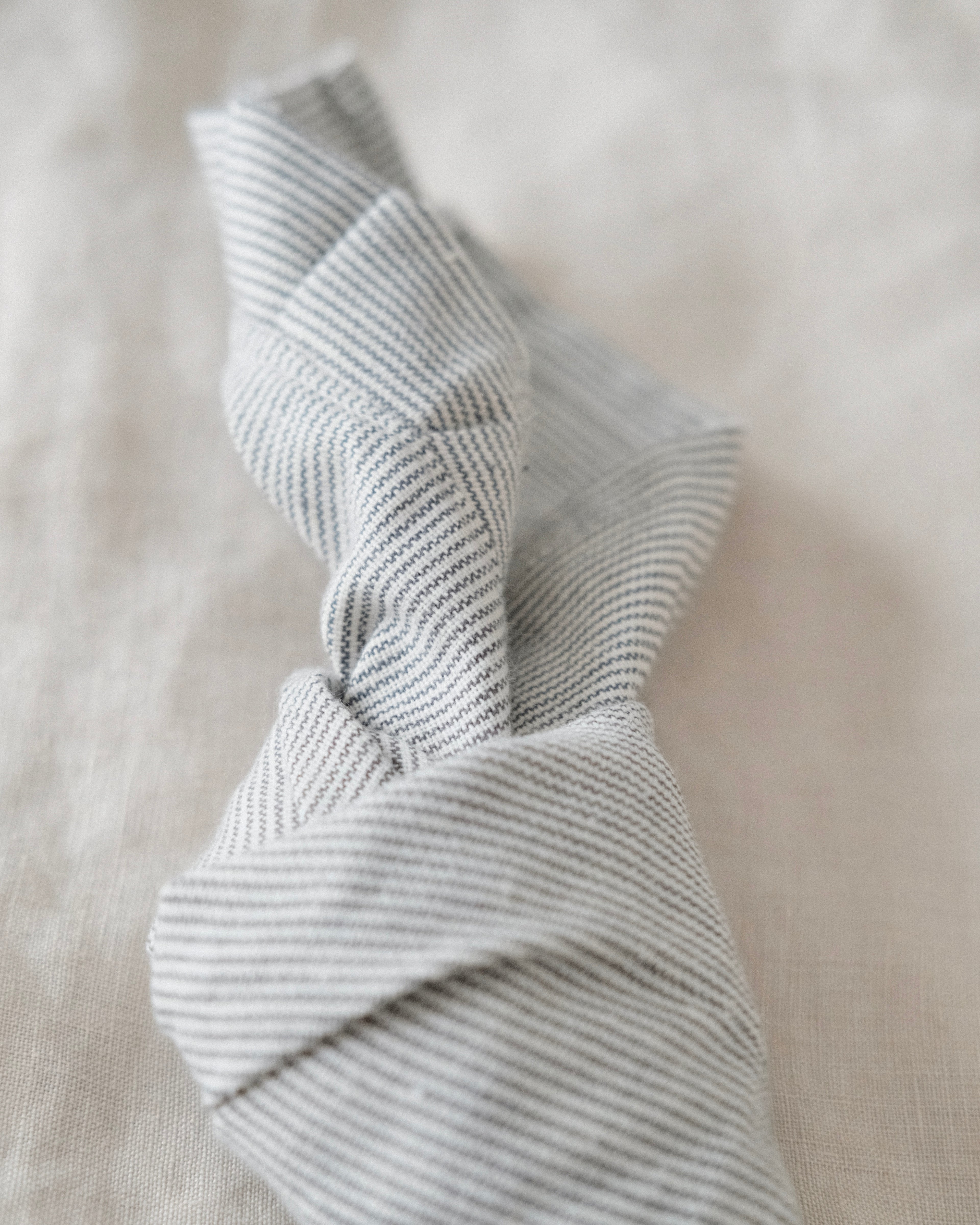 Mireille Stripe Napkin (Set of 2)