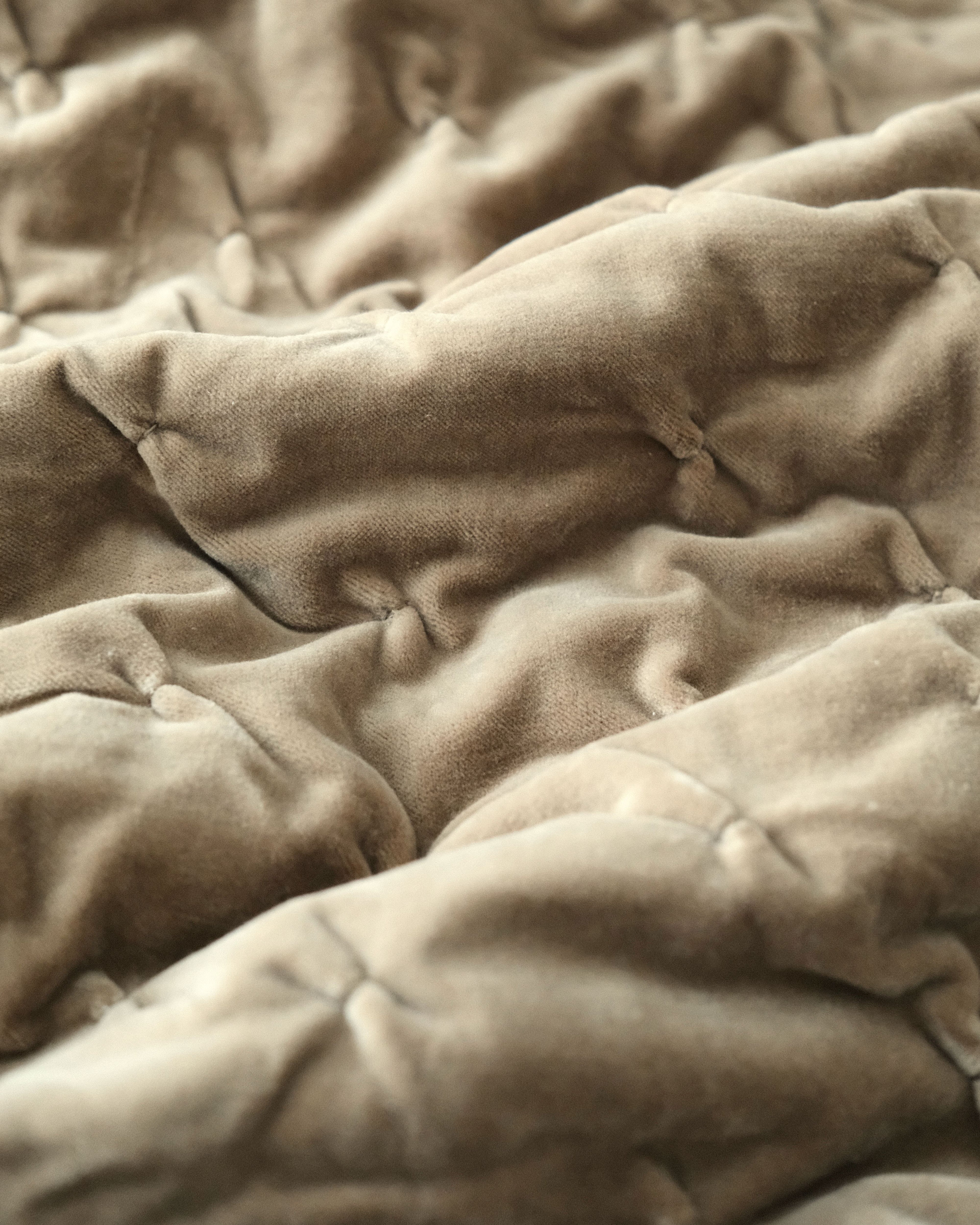 Delphine Bedspread