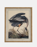 Heron on Linen Framed Print
