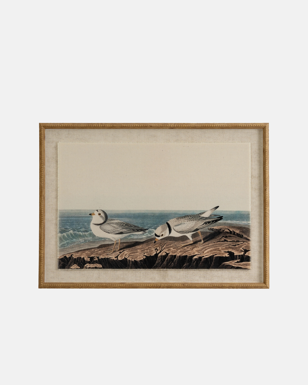 Plovers on Linen Framed Print