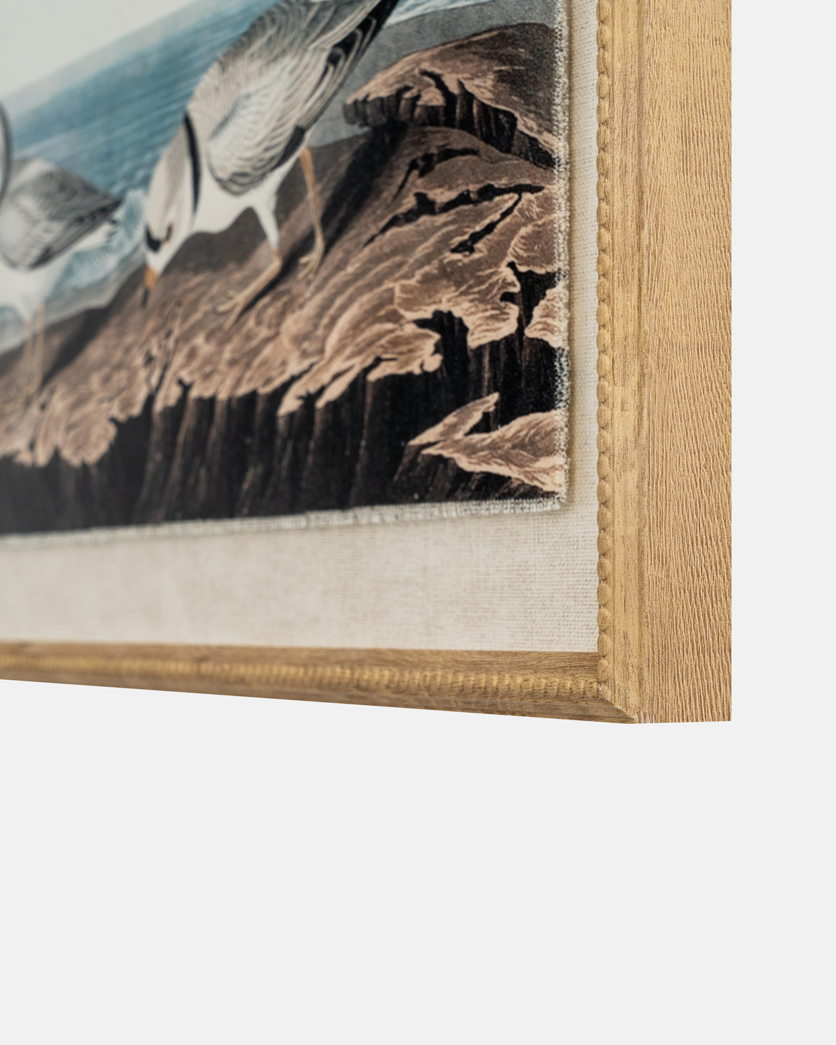 Plovers on Linen Framed Print
