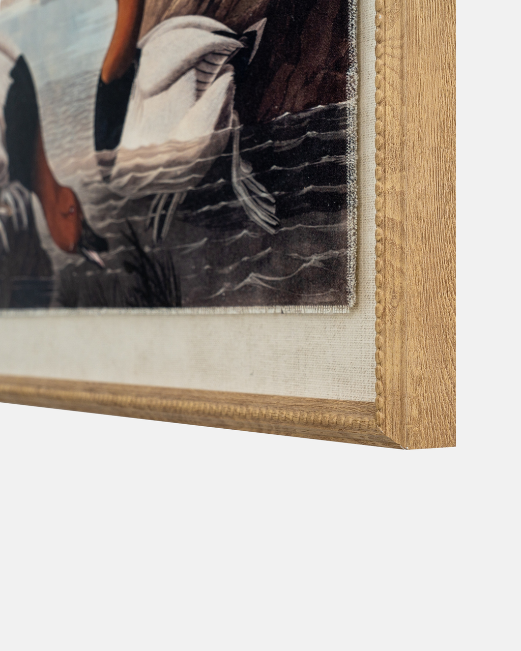 Pochards on Linen Framed Print