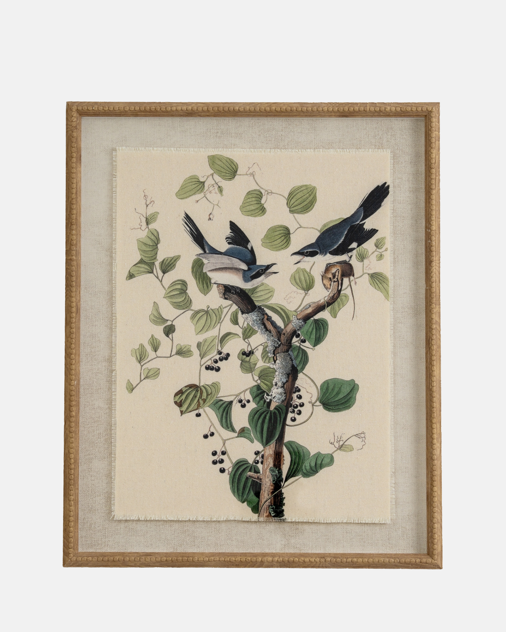Shrikes on Linen Framed Print