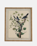Shrikes on Linen Framed Print