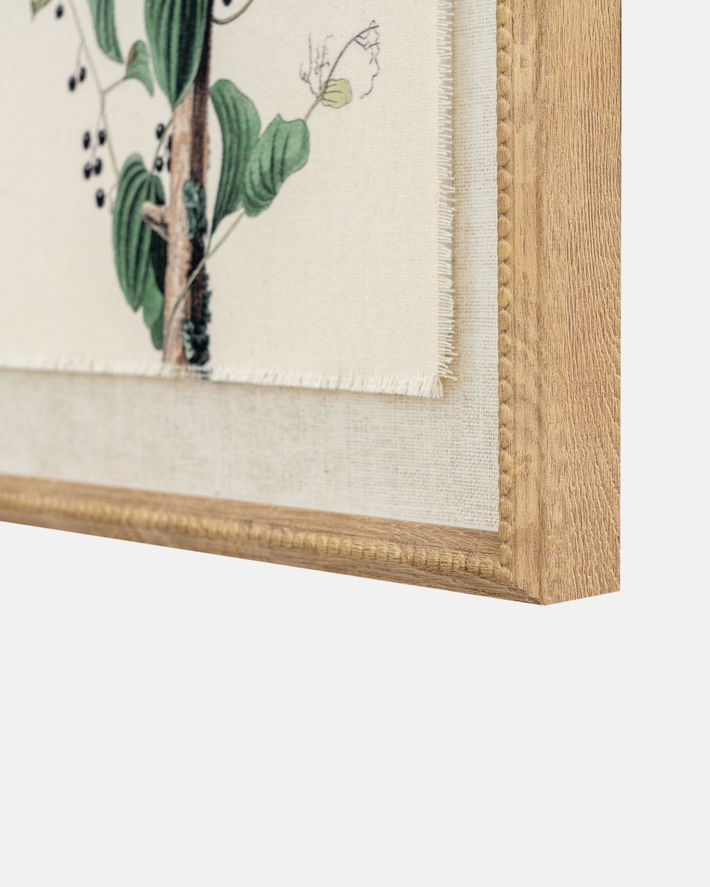 Shrikes on Linen Framed Print