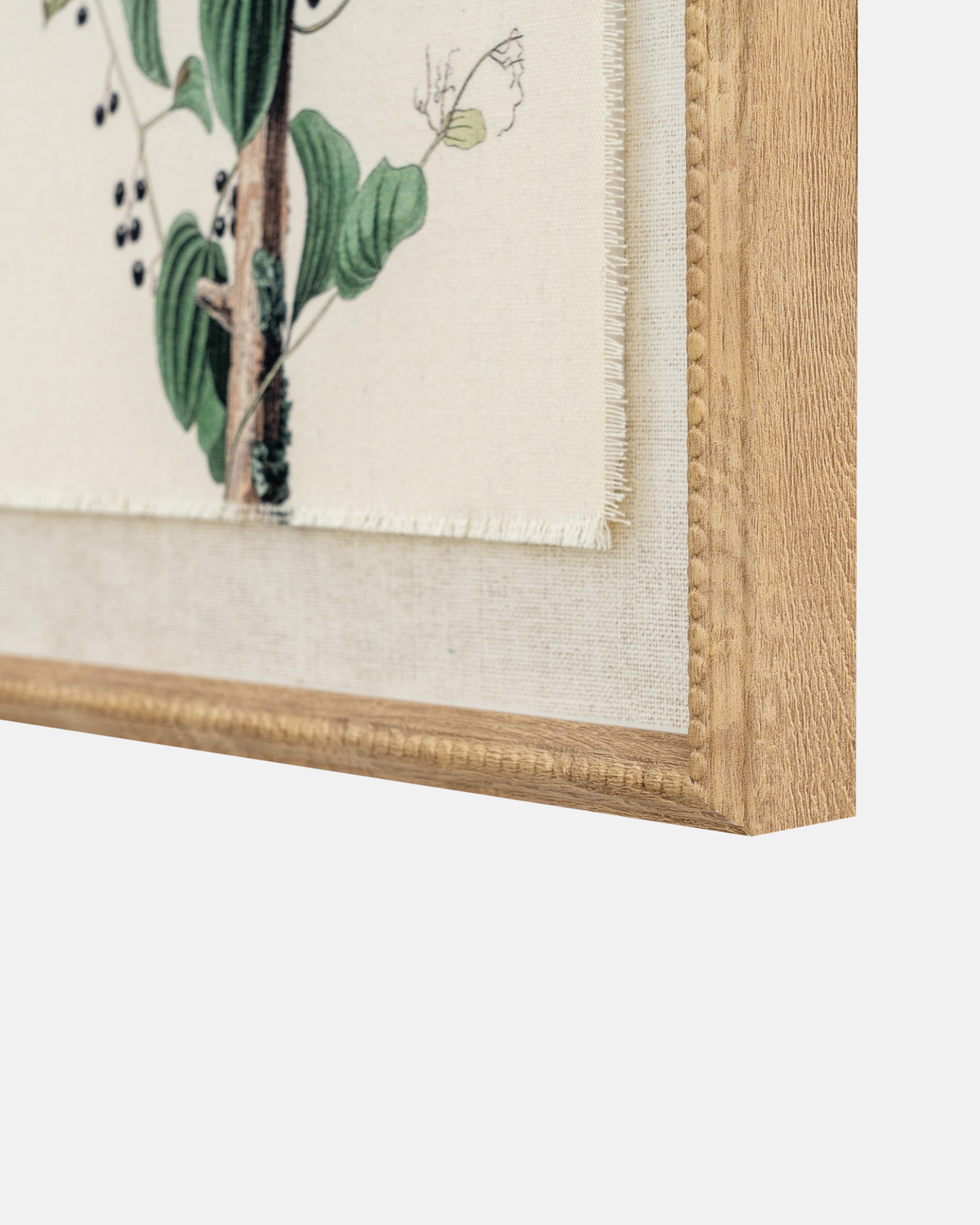 Shrikes on Linen Framed Print
