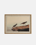 Stints on Linen Framed Print